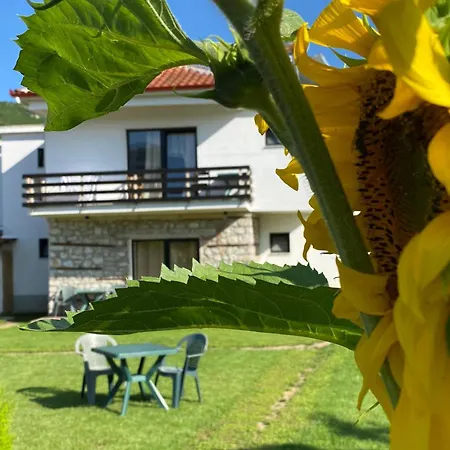 Hotel Ndrio Tushemisht