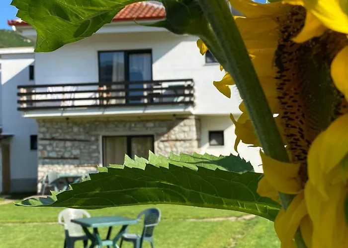 Hotel Ndrio Tushemisht